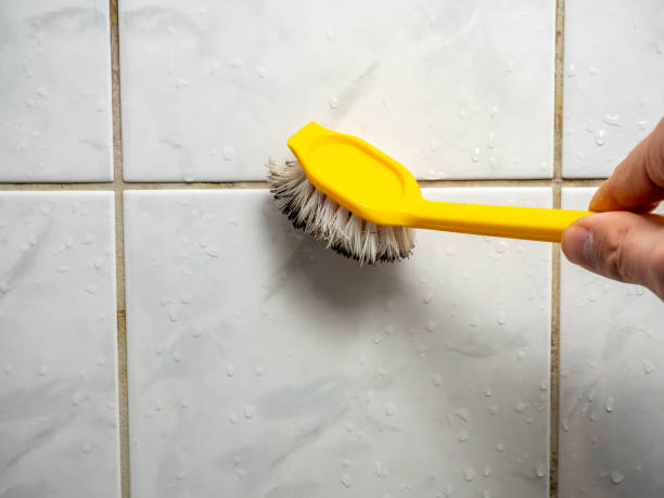 Best Mold Testing  in Eagle Grove, IA
